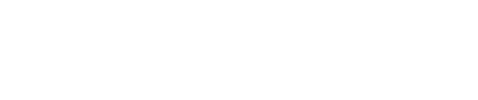 logo light